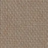 Cream CT 33 A
